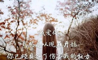 抖音优美句子短句