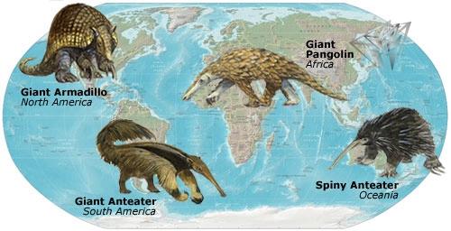 '外星生物大曝光：竟长着一副人样'