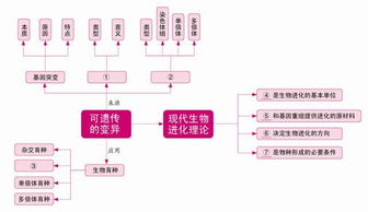 网络安全知识结构图