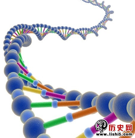 '复活远古生物真的可以实现吗？'