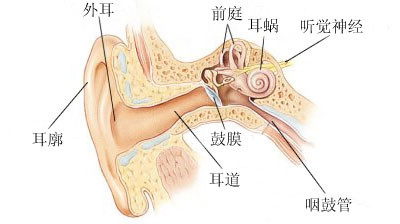 '太空可以听到声音吗'