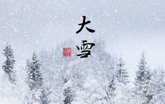 漫步在雪中的优美句子是什么意思是什么