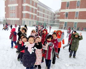 学生应对极端天气安全知识