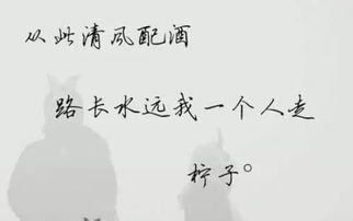 优美句子摘抄60字