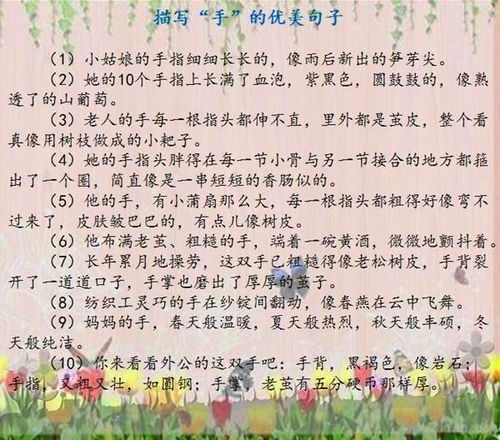 人物的优美句子小学