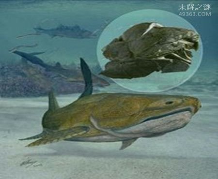 '奥古布古：一种来自远古的生物“水中的恶魔”'