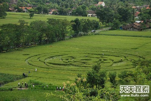 '证据确凿：中国正遭受外星人秘密监视'