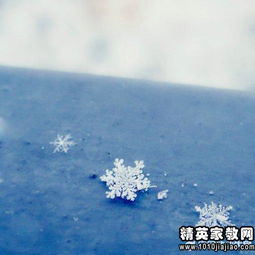 描写雪的优美句子初中