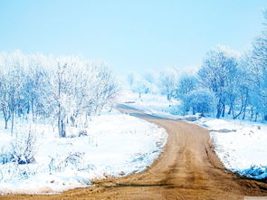 雪景优美句子大全