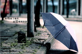 人生就像一把雨伞作文(人生像一把雨伞作文)