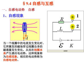 自感(自感,自感白居易,自感的意思,自感赏析 )