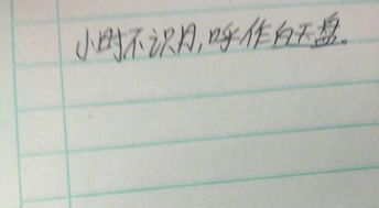 描写中秋月亮的优美句子20字