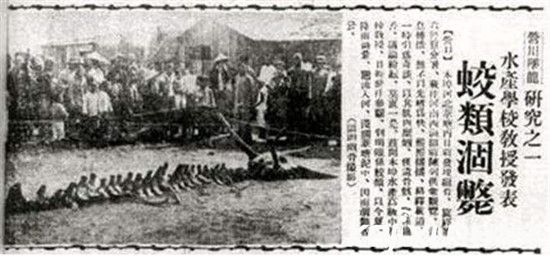 '历史上是否真的有龙？揭秘1934年营口坠龙事件真相'