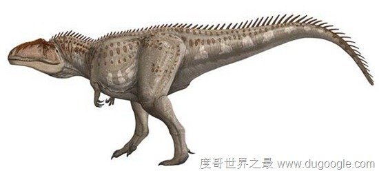 巨兽龙最大的陆地肉食性恐龙