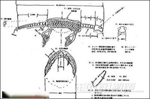 '日本1977年巨型海怪尸体事件:海怪重量约2吨'