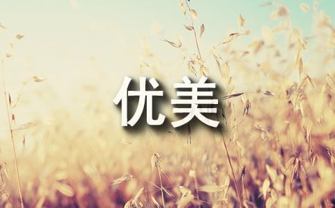 马兰花优美句子