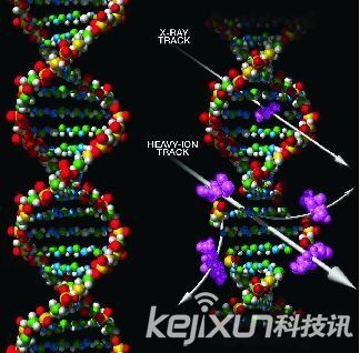 '外星人真的存在吗？外星人是何模样'