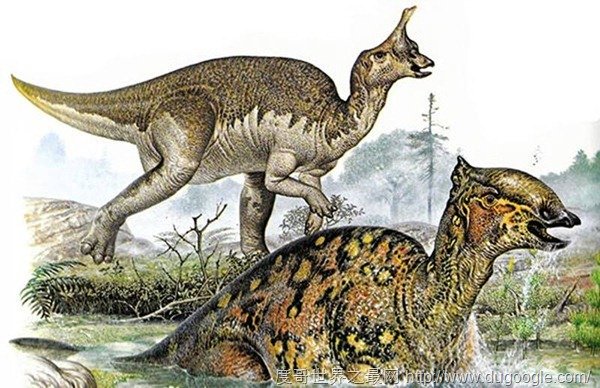 巨兽龙最大的陆地肉食性恐龙