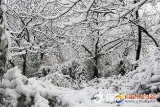 写雪的优美句子大全