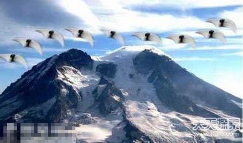 '世界十大飞行员遭遇UFO秘闻'